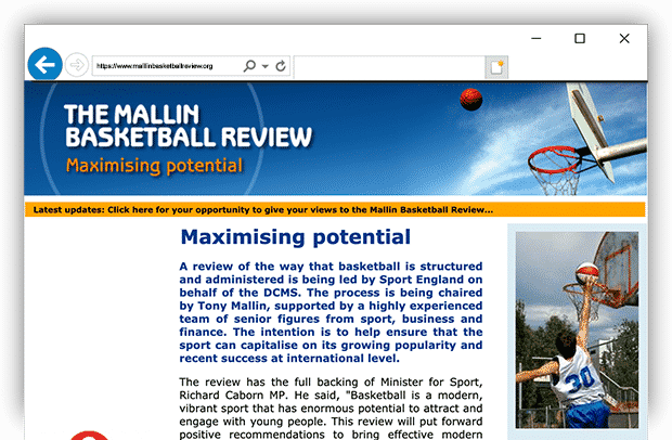 Mallin Review website