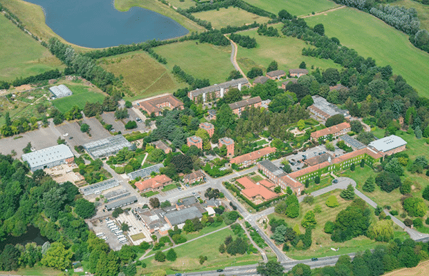 Writtle University College Campus Basketball