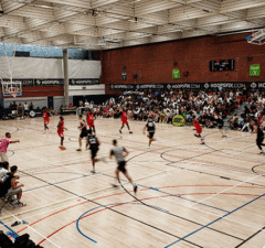 Hoopsfix Pro-Am 2025 Finals