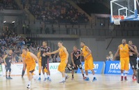 Sharks had to survive at the end